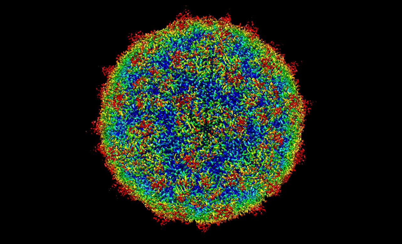 human rhinovirus c15a human virus free photo
