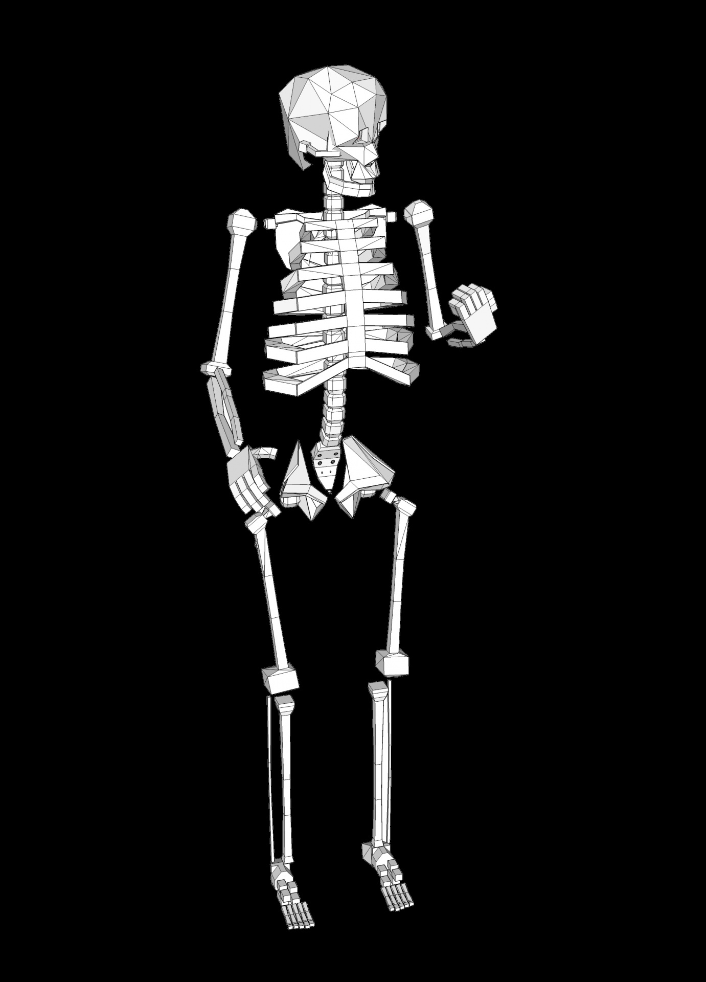 drawing human skeleton free photo