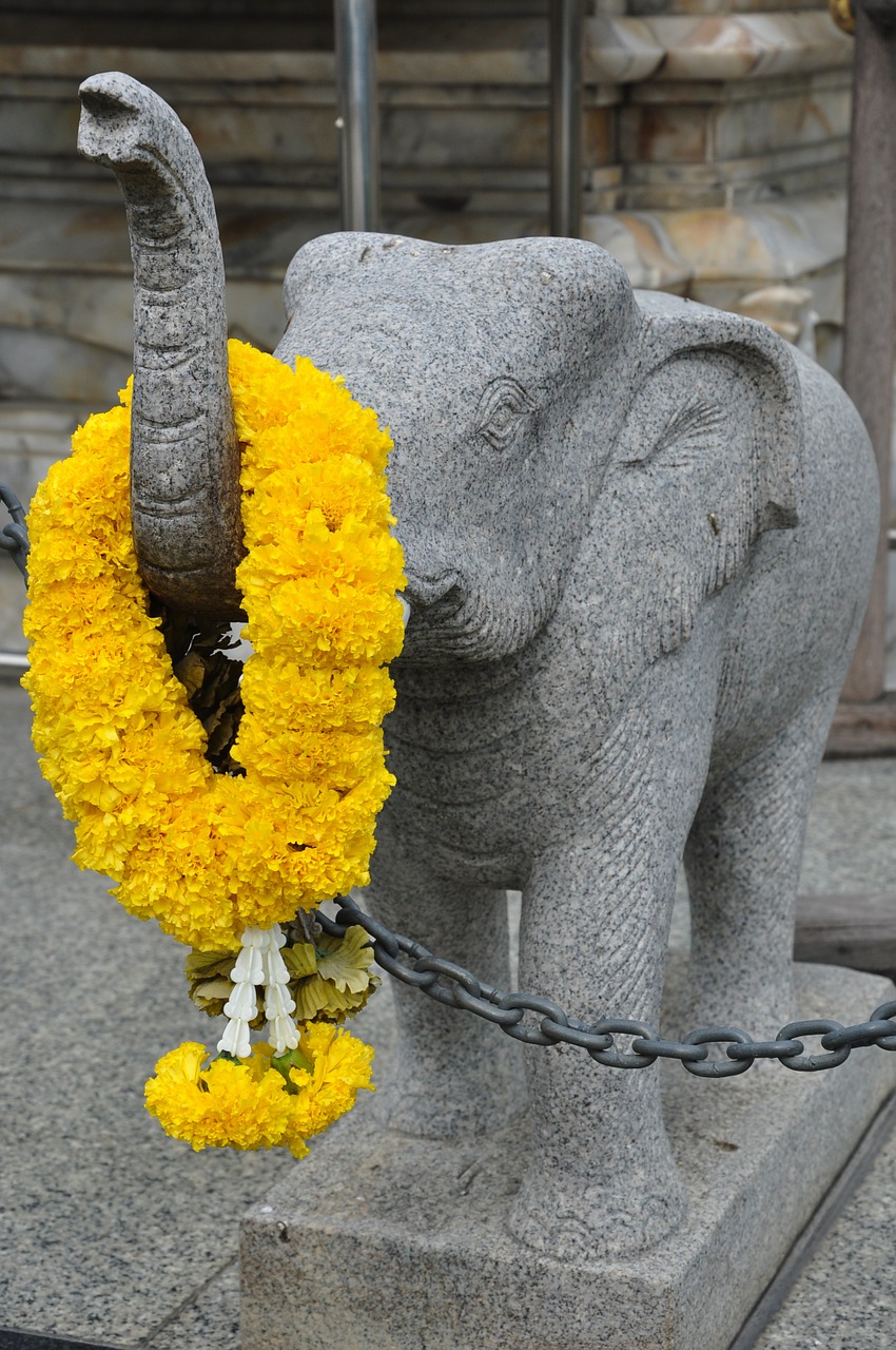 humanities thailand elephants free photo