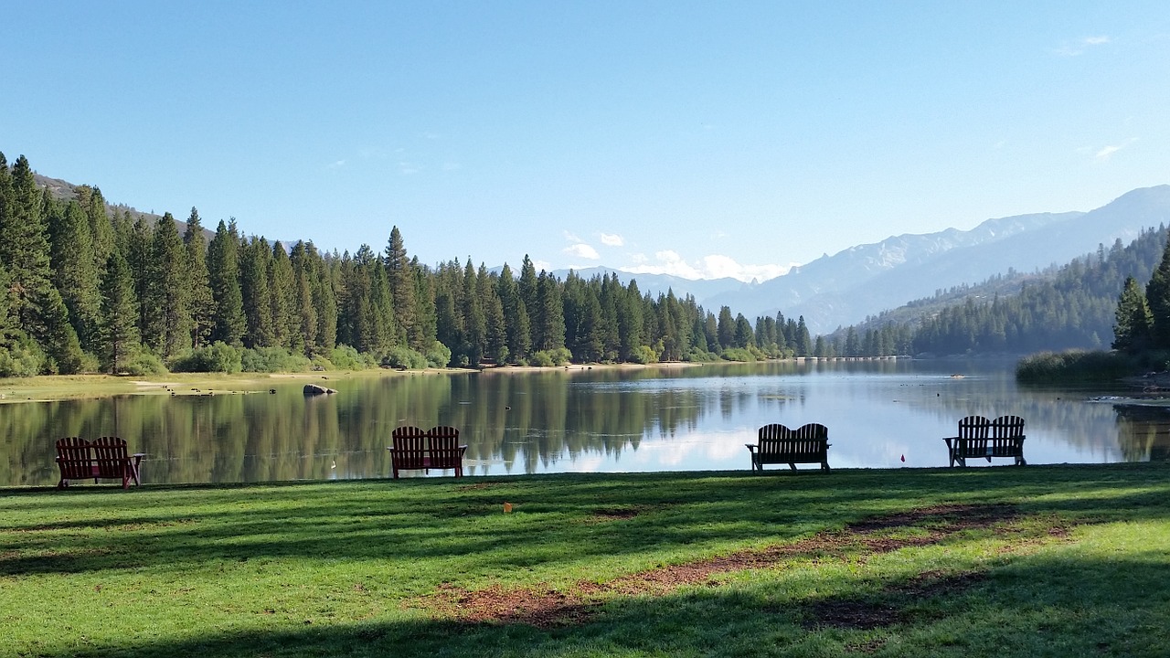 hume lake california sequoia free photo