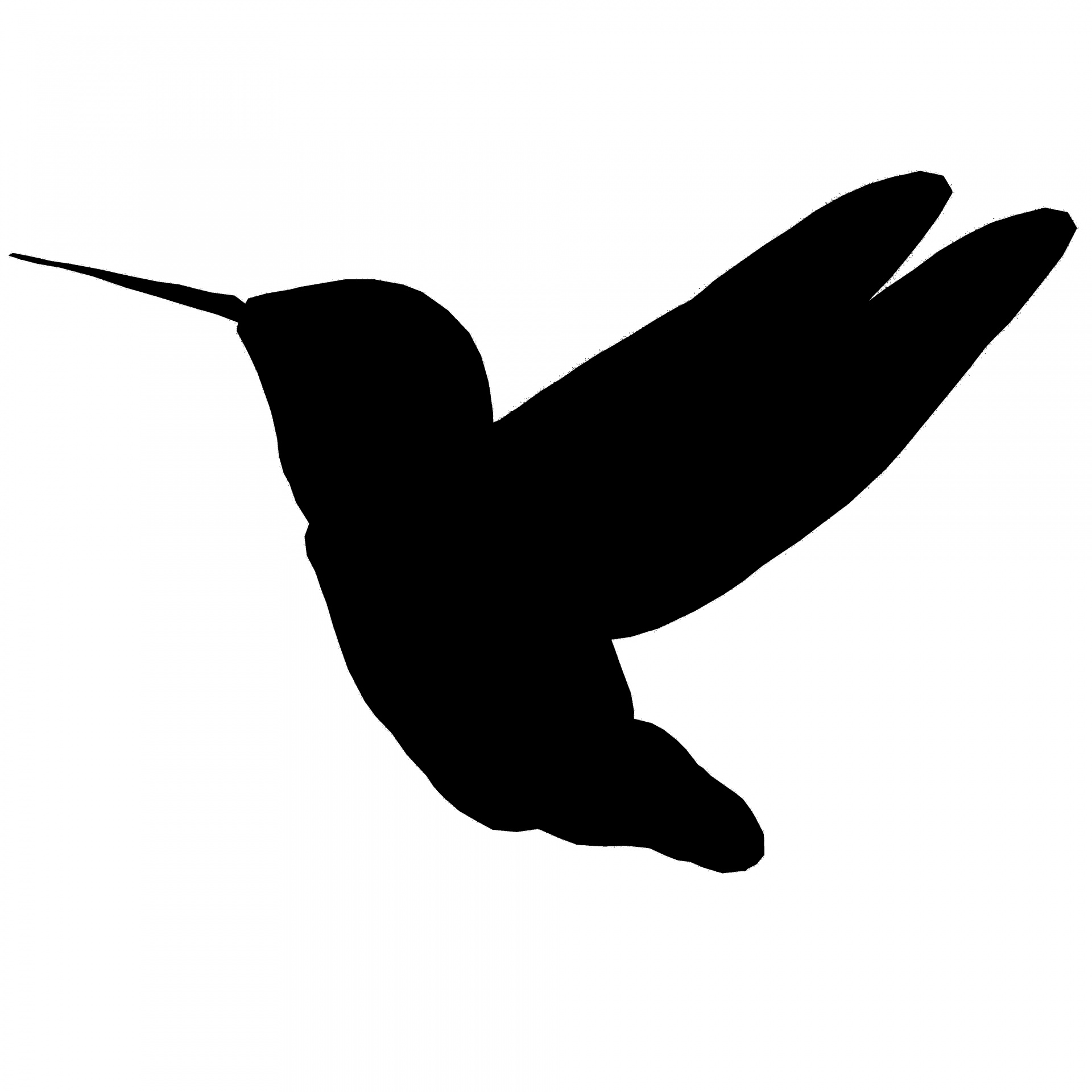 black silhouette hummingbird free photo