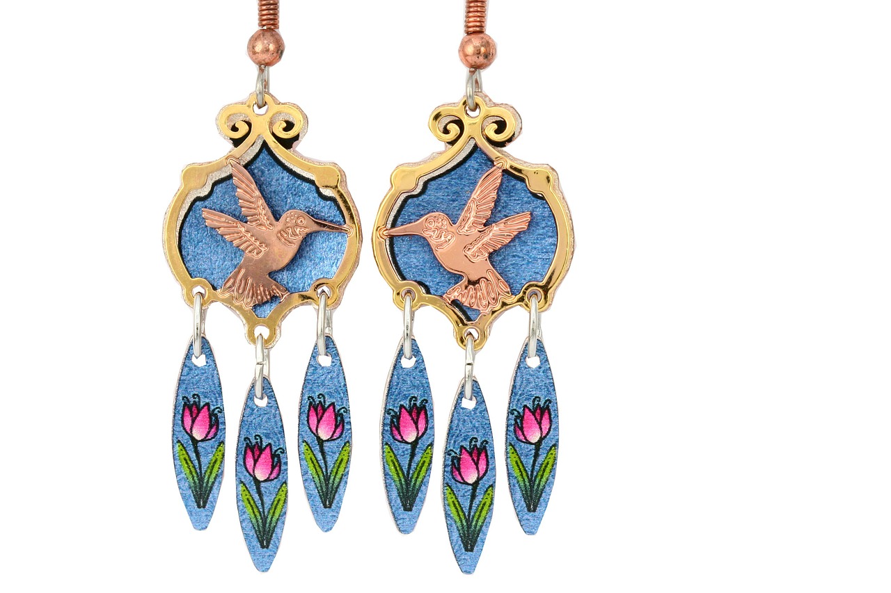 hummingbird jewelry earrings free photo