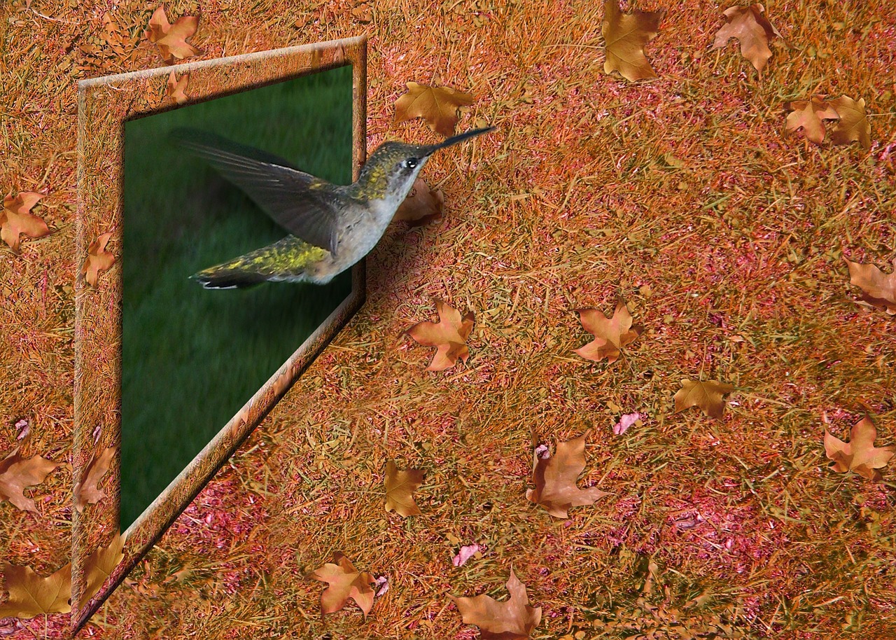 hummingbird bird 3d free photo