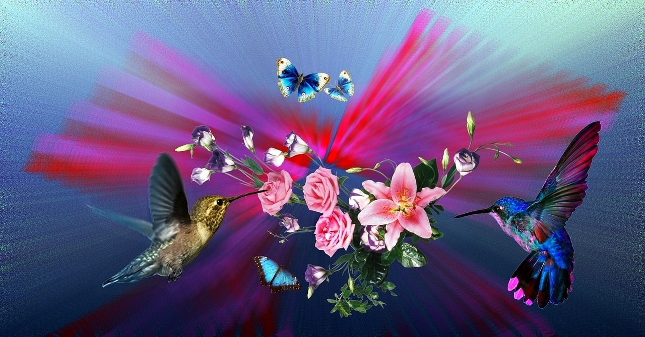 hummingbirds flowers lilies free photo