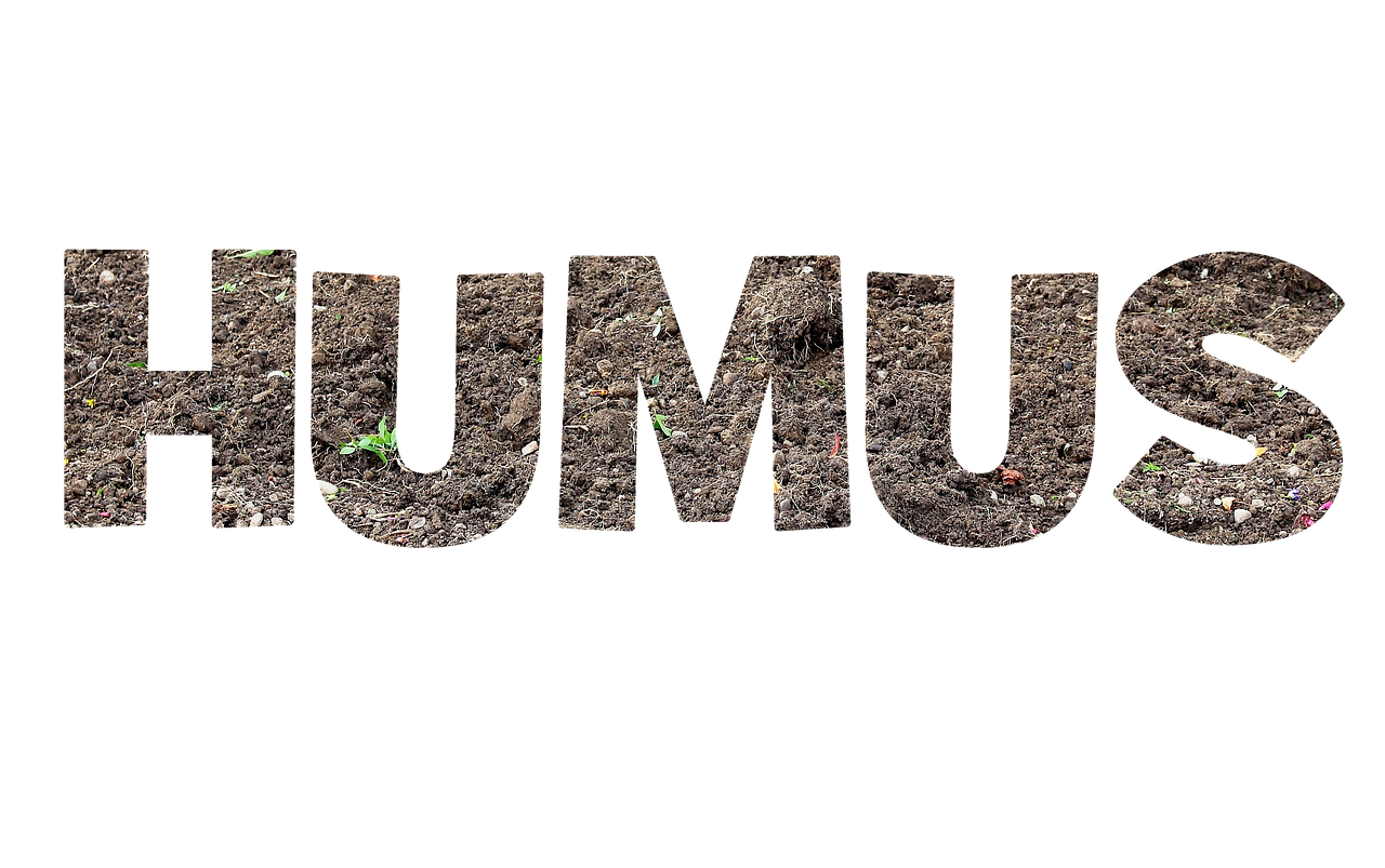 humus font lettering free photo