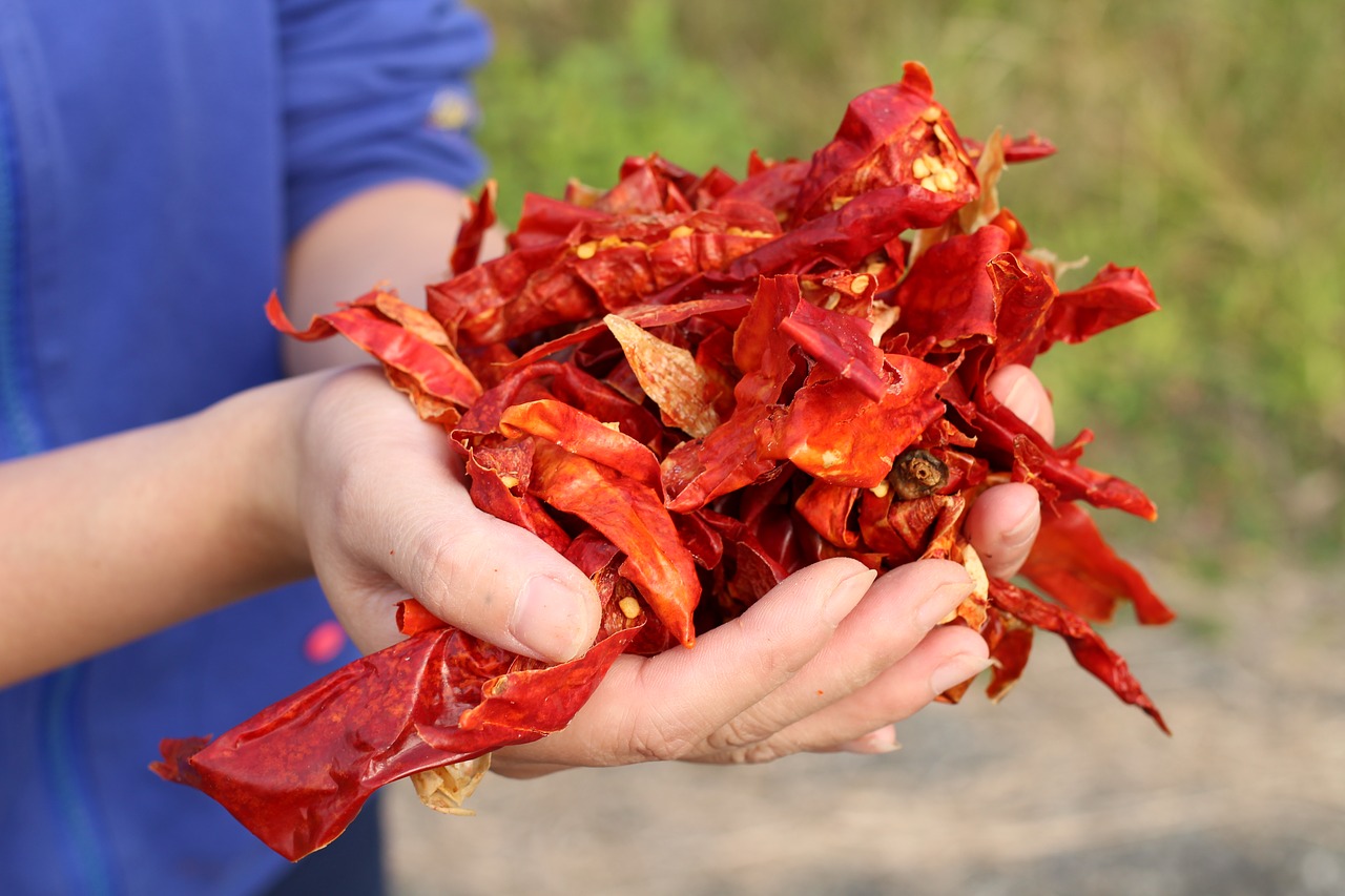 hunan  red pepper  red free photo