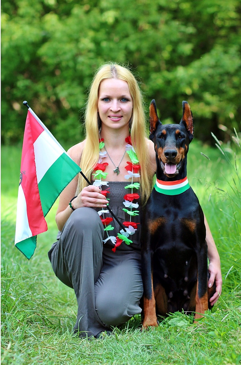 hungarian fans they are nice doberman free photo