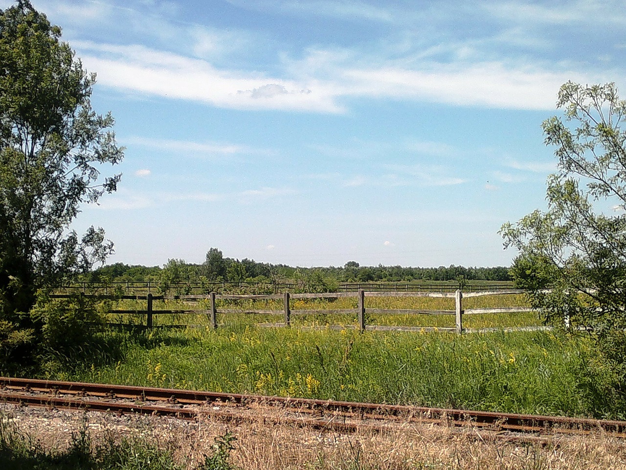 hungarian landscape hungary nature free photo