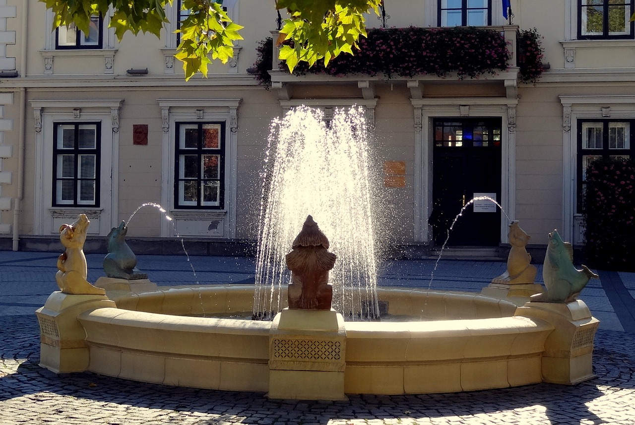 hungary sárvár town hall free photo