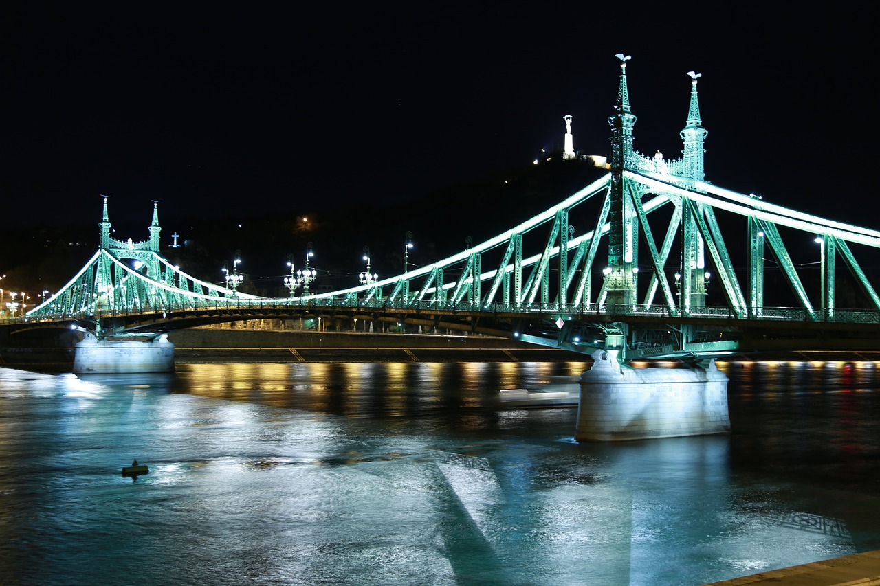 hungary budapest freedom bridge free photo