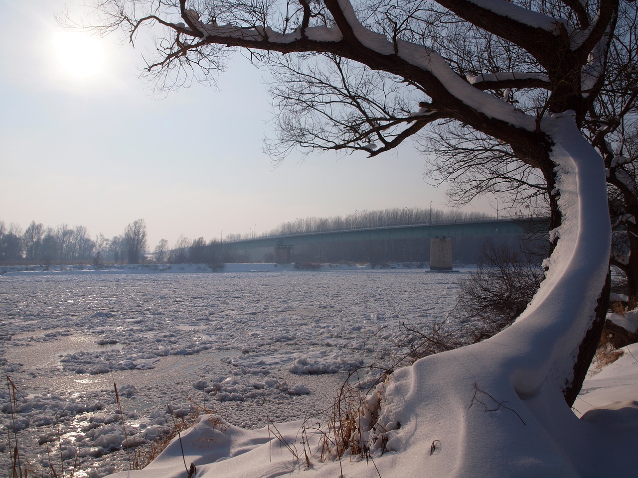 hungary baranya drava free photo