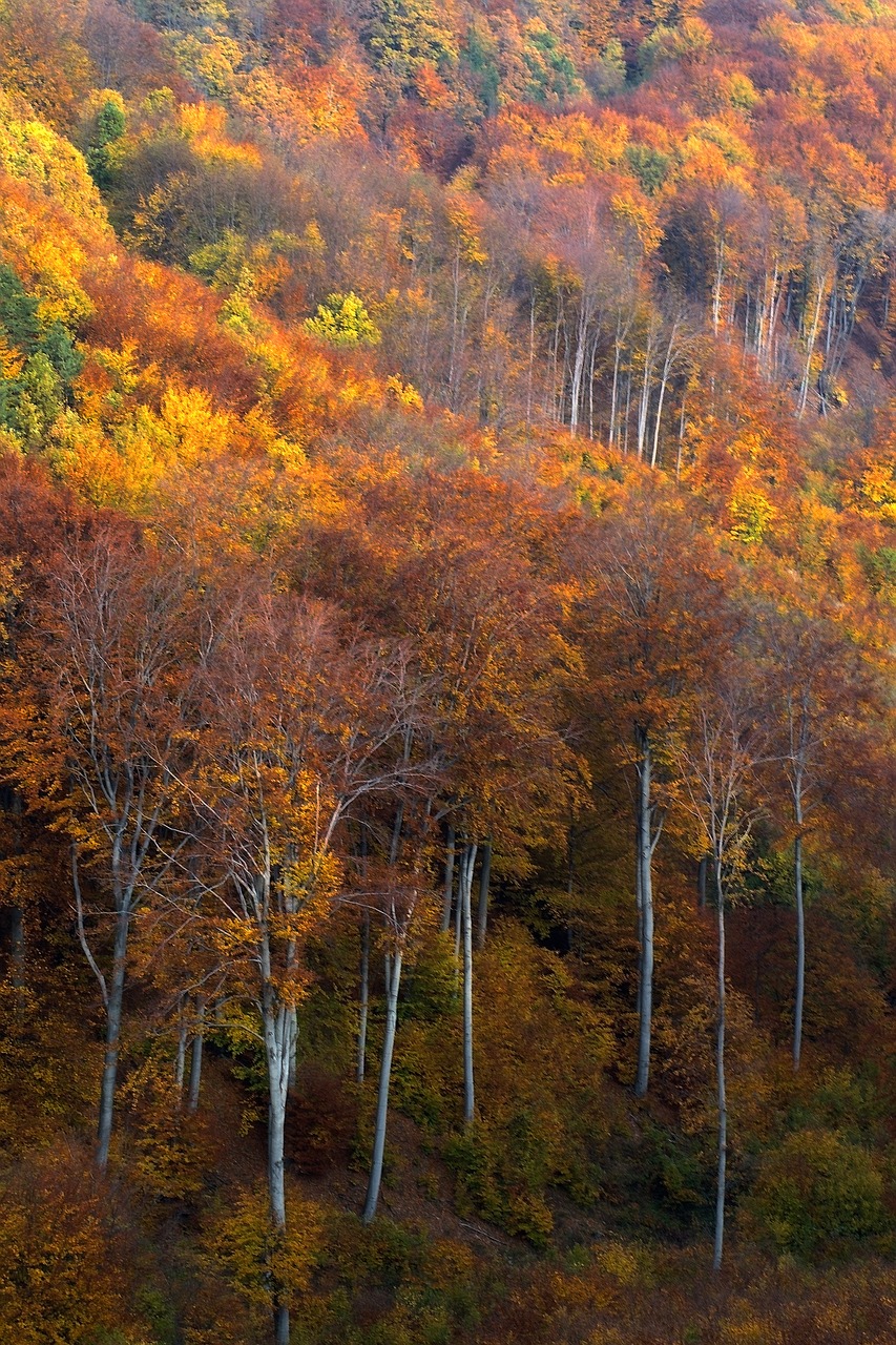 hungary mátra mountains landscape free photo