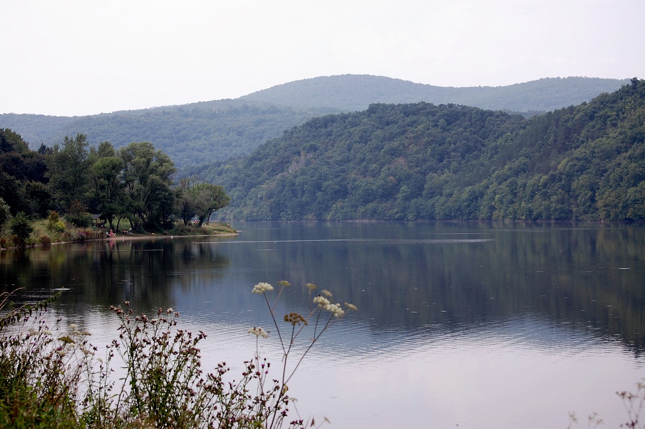 hungary beech lakes free photo