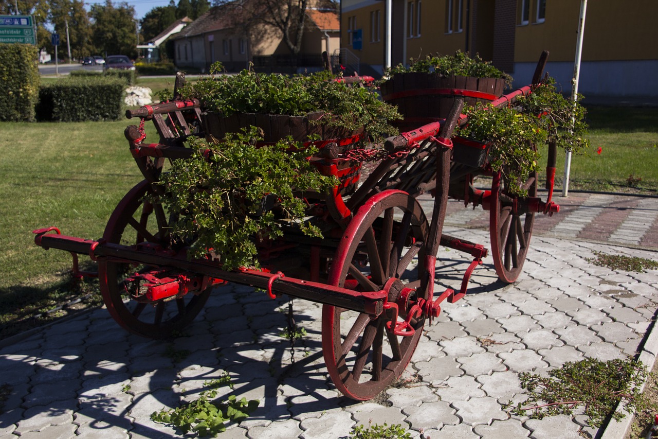 hungary  horse drawn carriage  decorated free photo