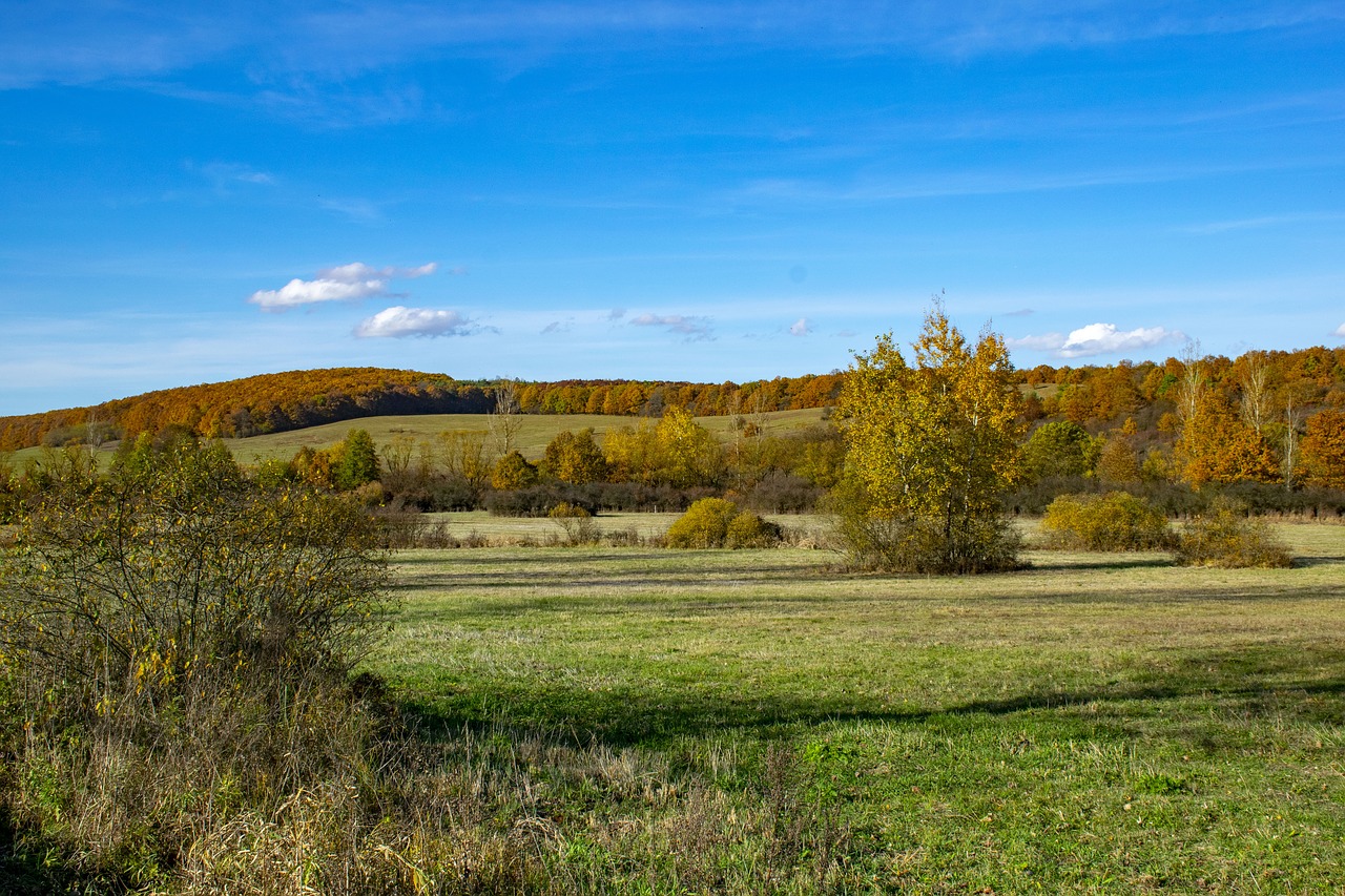 hungary  trizs  landscape free photo