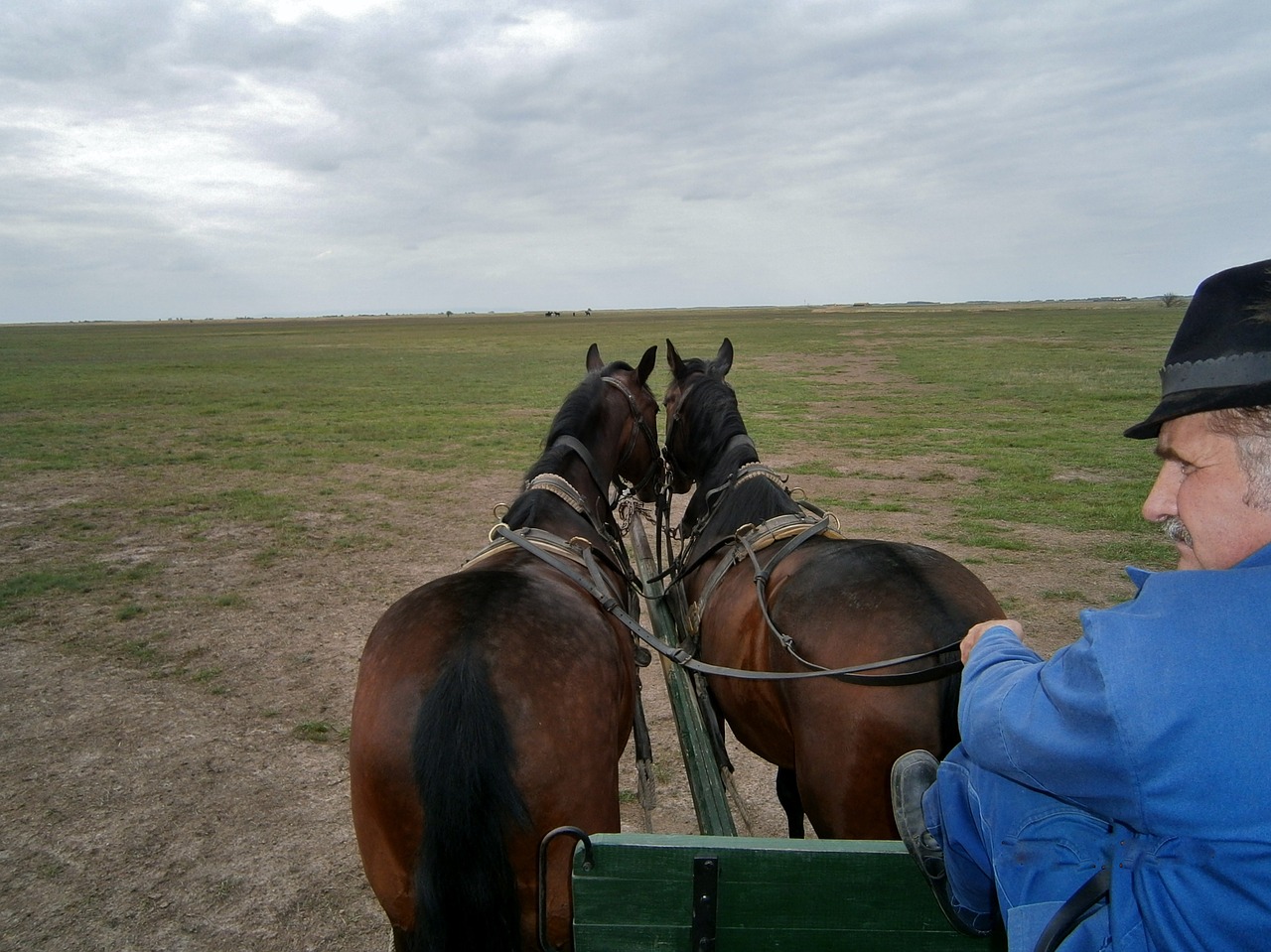 hungary puszta cart free photo