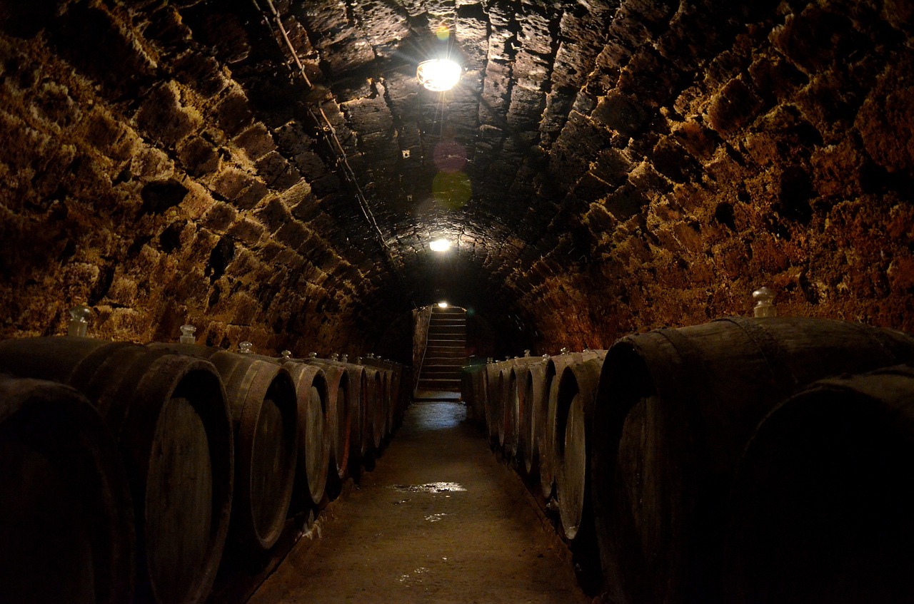 hungary the wine cellar wine free photo