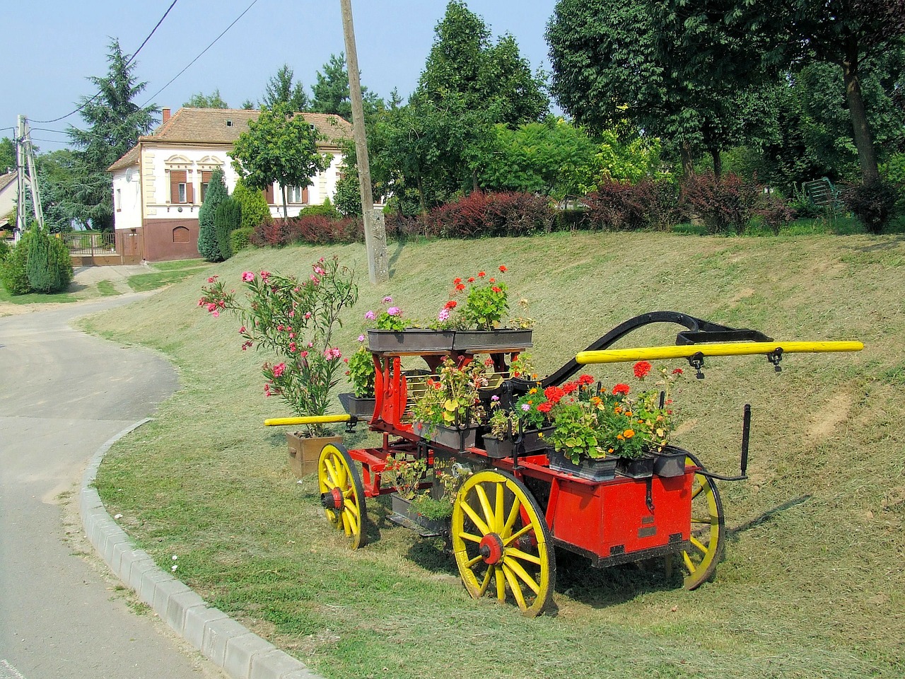 hungary landscape flowers free photo