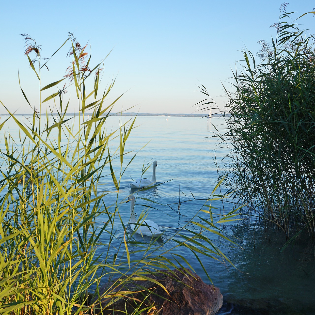 hungary lake balaton lake free photo