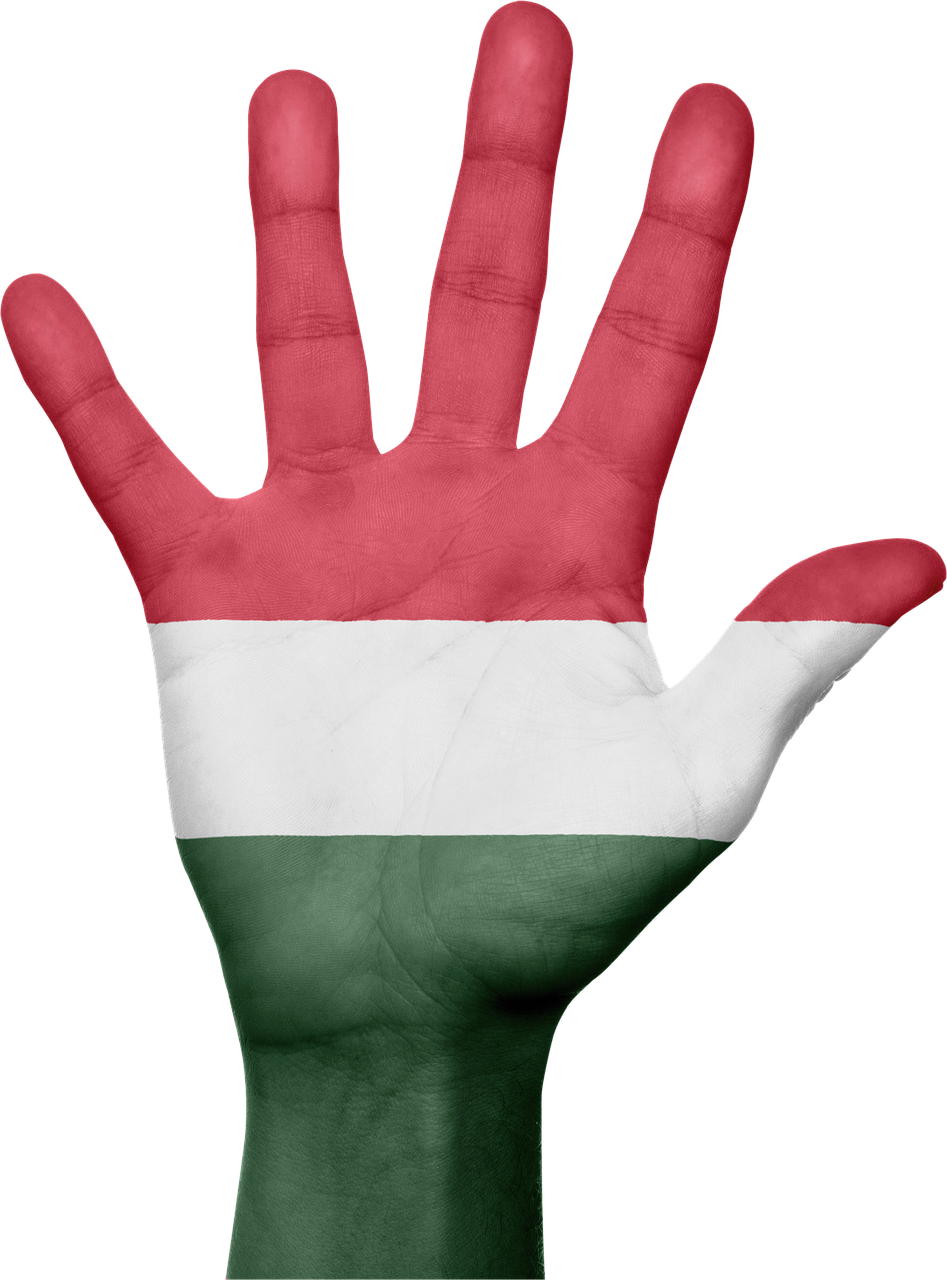 hungary flag hand free photo