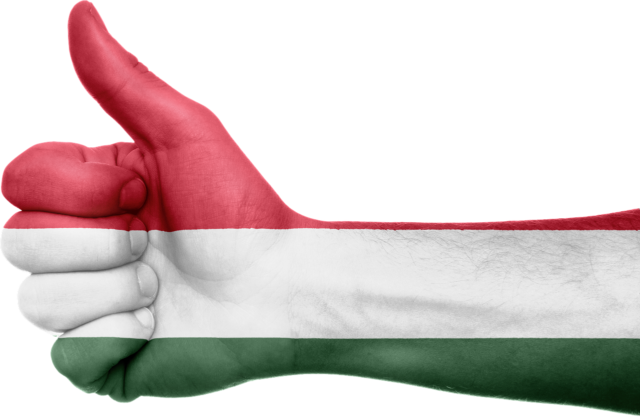 hungary flag hand free photo