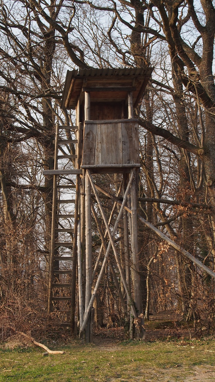 hunter seat perch hunting free photo