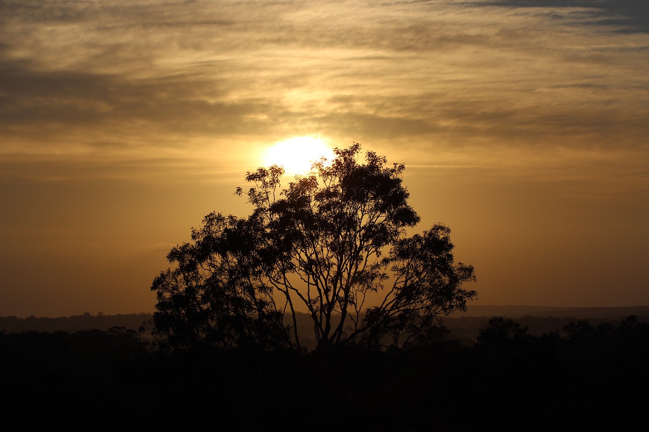 hunter valley australia sunrise free photo
