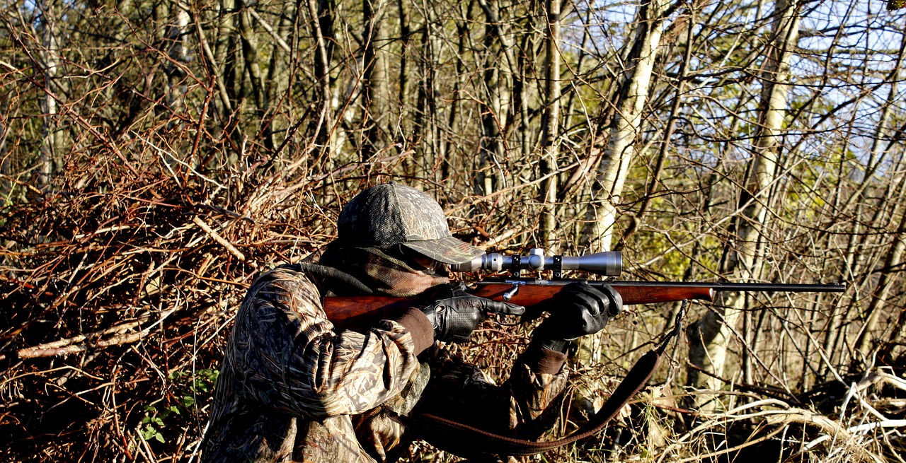 hunting  rifle  weapons free photo