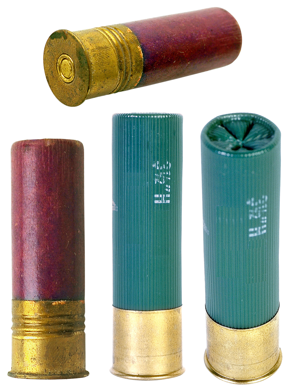 hunting ammo bullets sleeves free photo