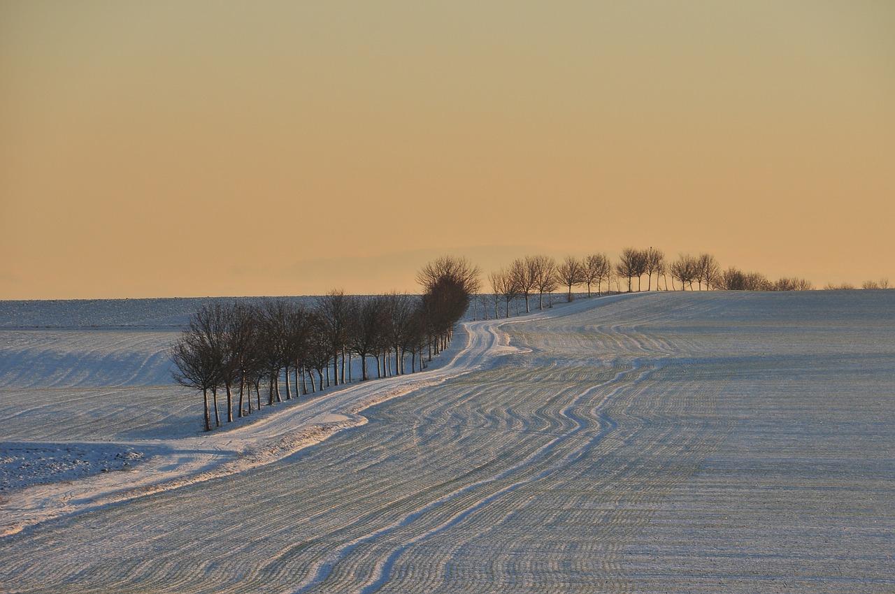 hüpstedt winter landscape free photo