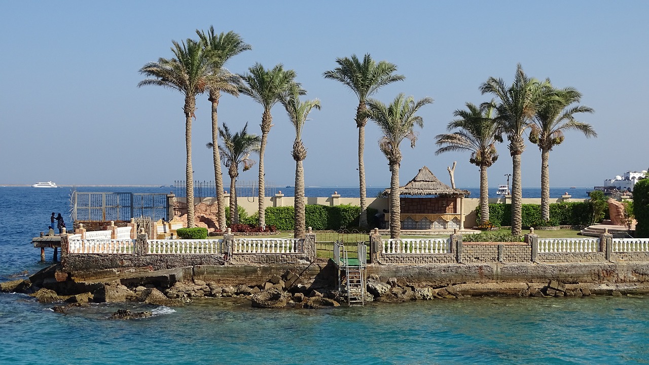 hurghada  sea  palm trees free photo