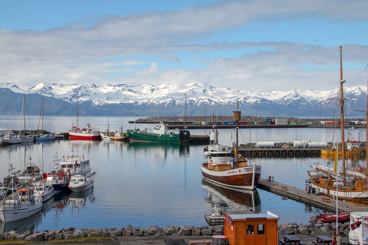 husavik  iceland  port free photo