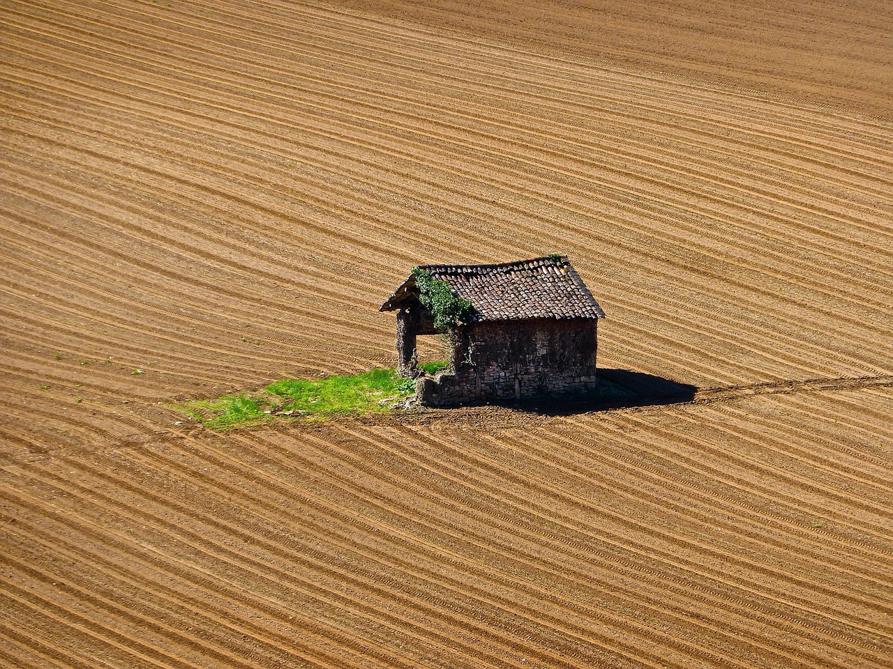 hut abandoned wooden free photo