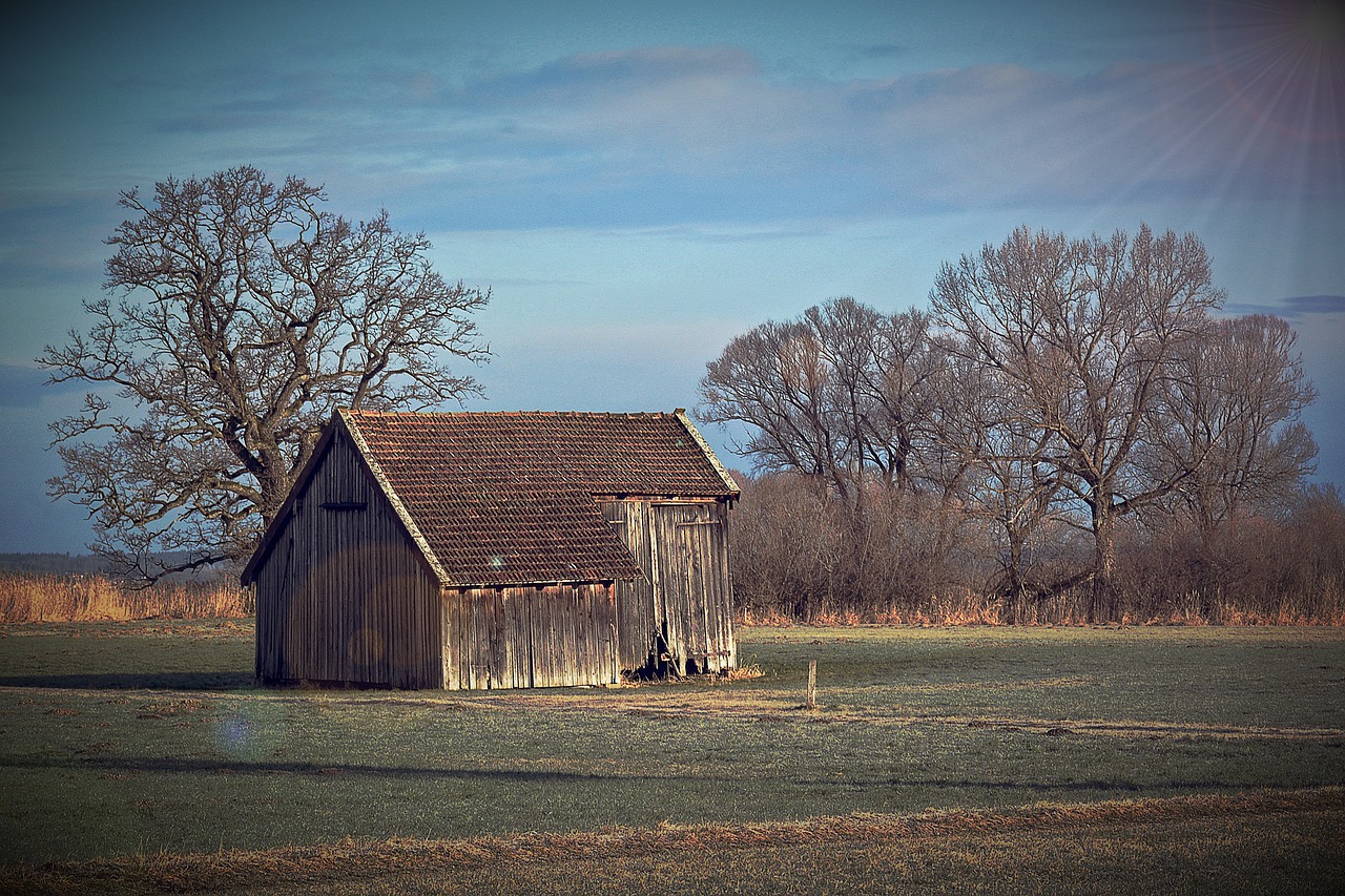 hut landscape log cabin free photo