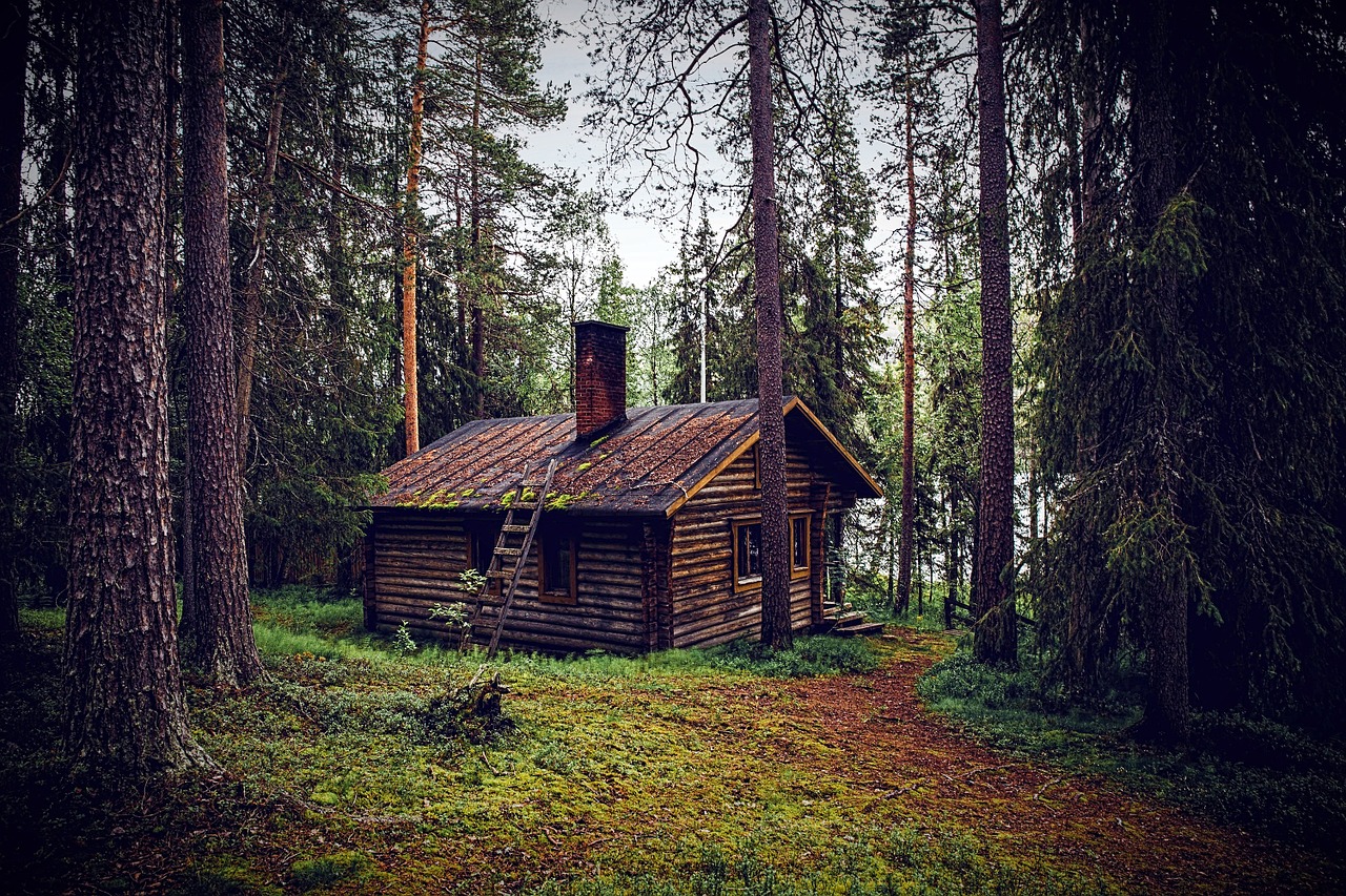 hut forest seefeld free photo