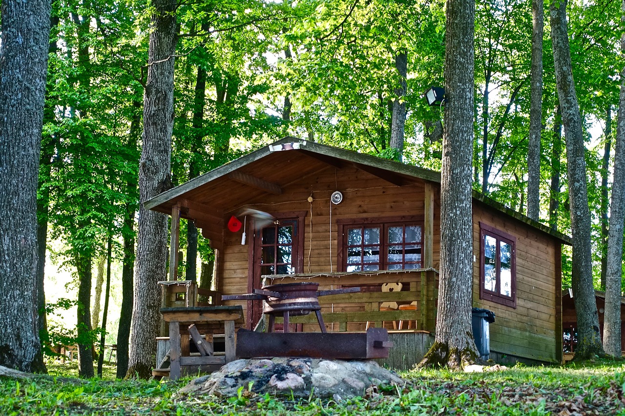 hut forest wooden free photo