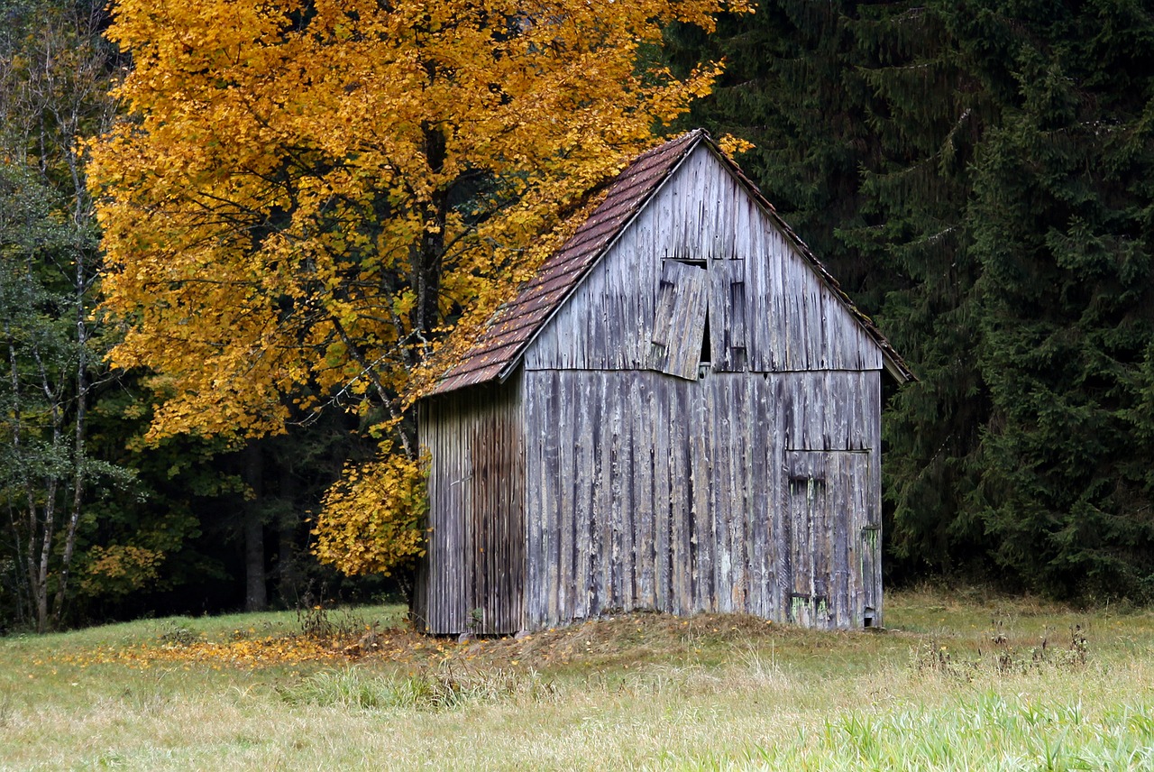 hut schopf autumn free photo