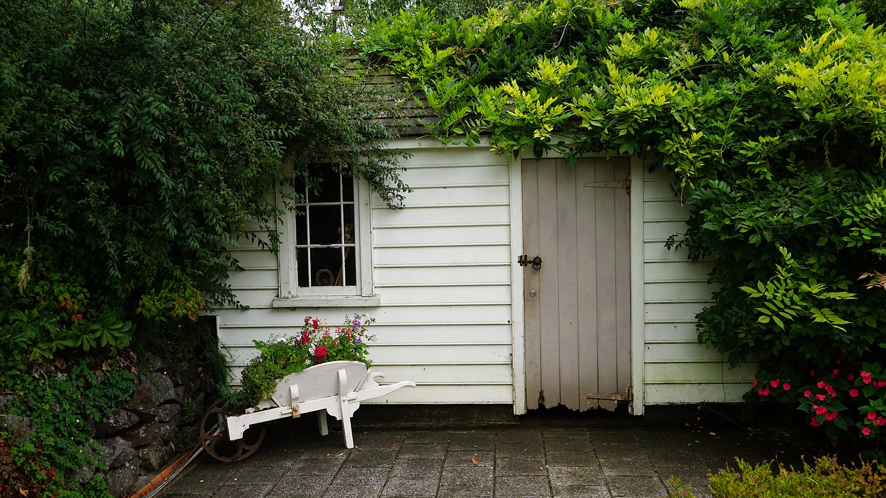 hut green log cabin free photo