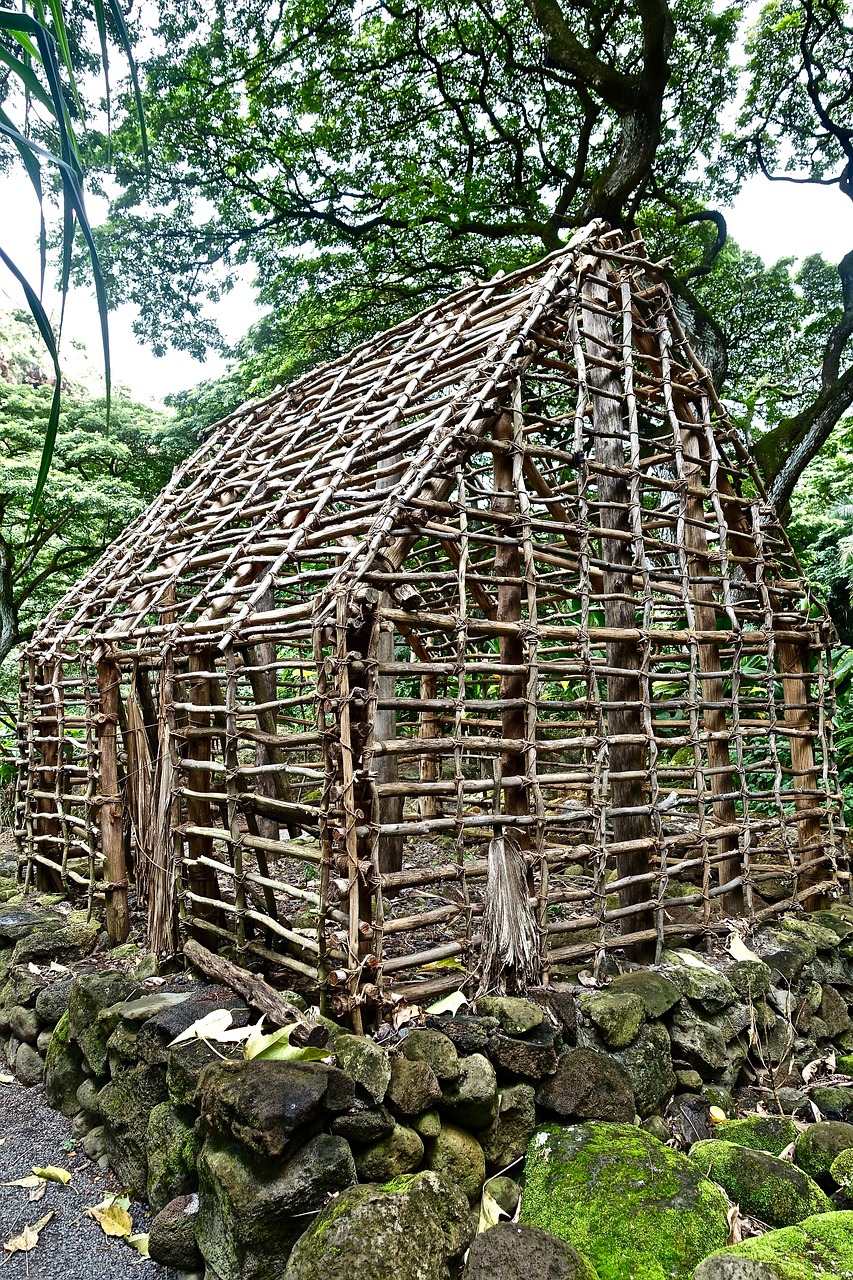 hut wood structure free photo