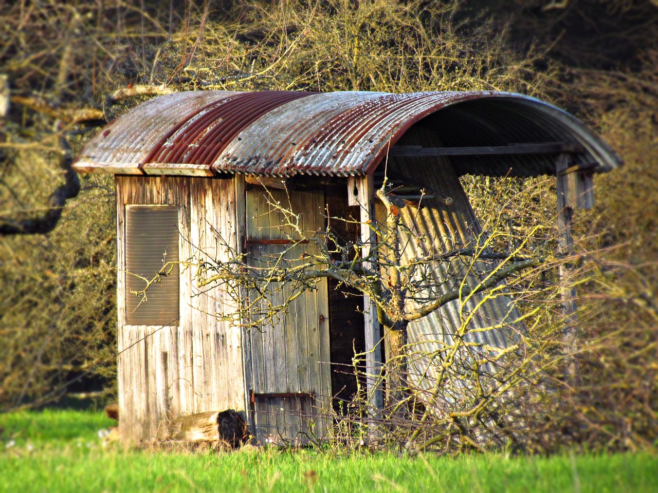hut cottage shed free photo