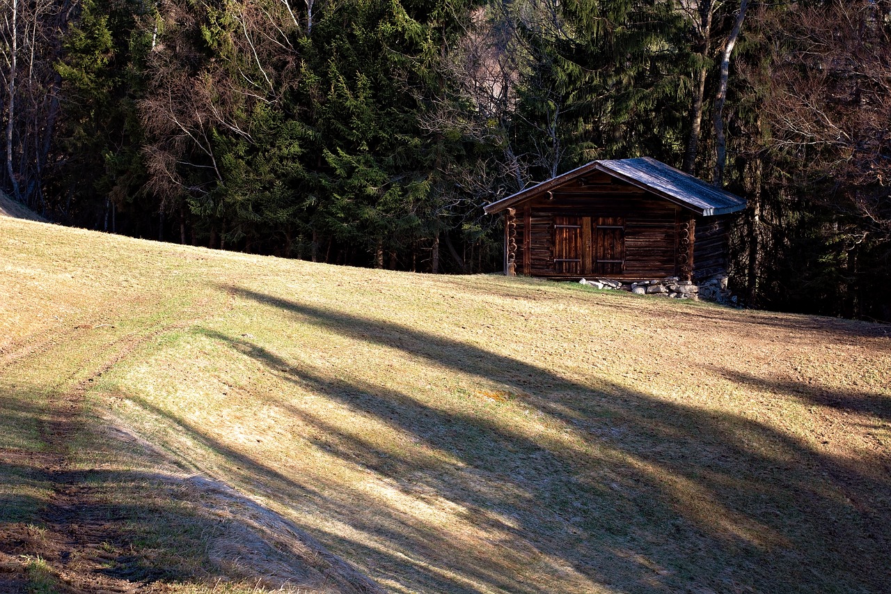 hut  log cabin  meadow free photo