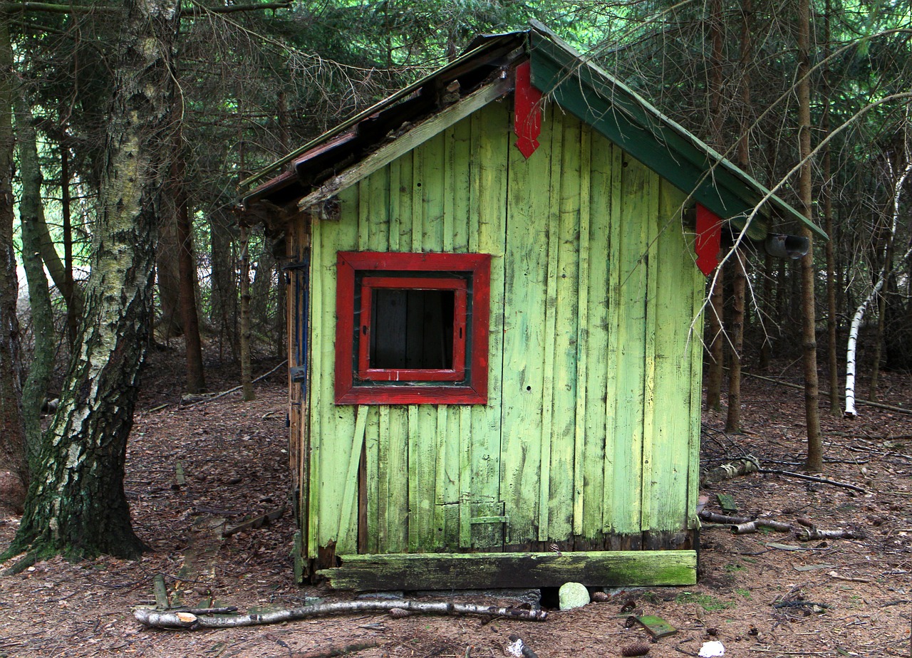 hut forest log cabin free photo