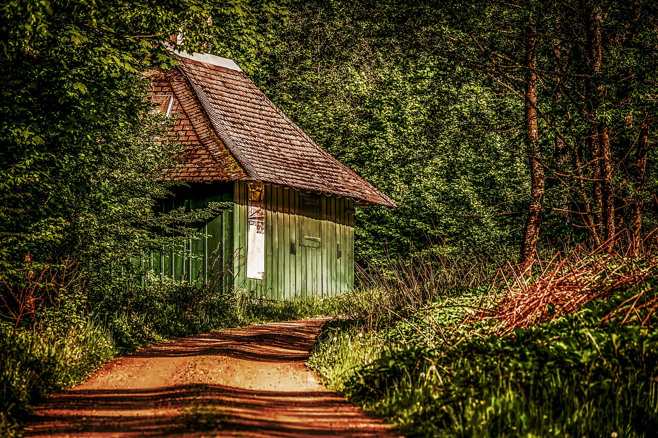 hut  roadside  forest free photo