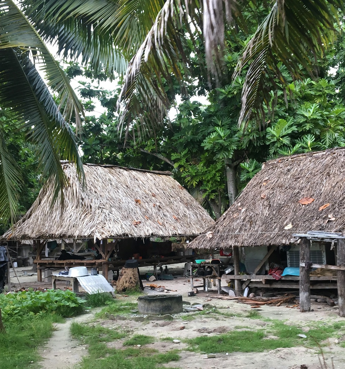 hut  tropical  exotic free photo