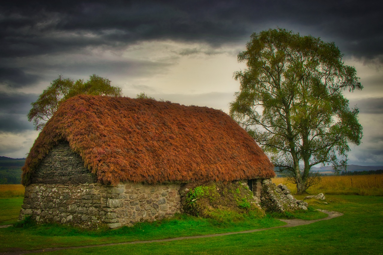 hut  old  tree free photo