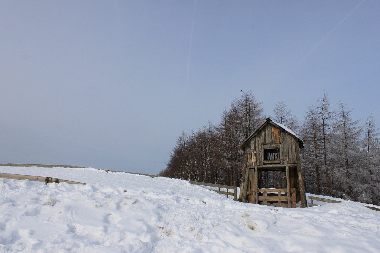 hut  snow  winter free photo