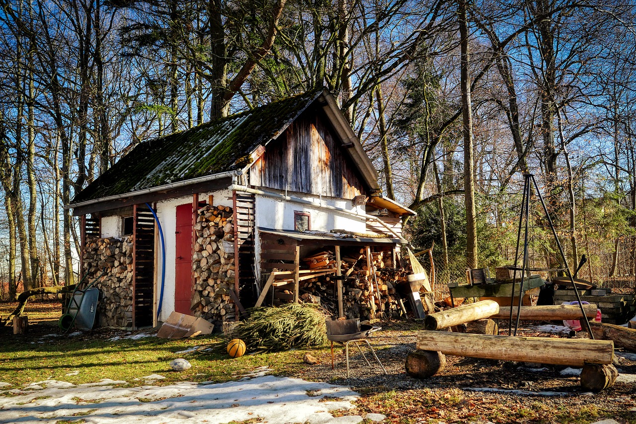 hut  glade  forest free photo