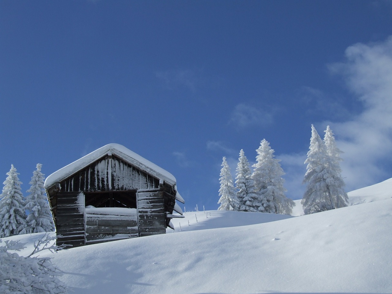 hut snow winter free photo