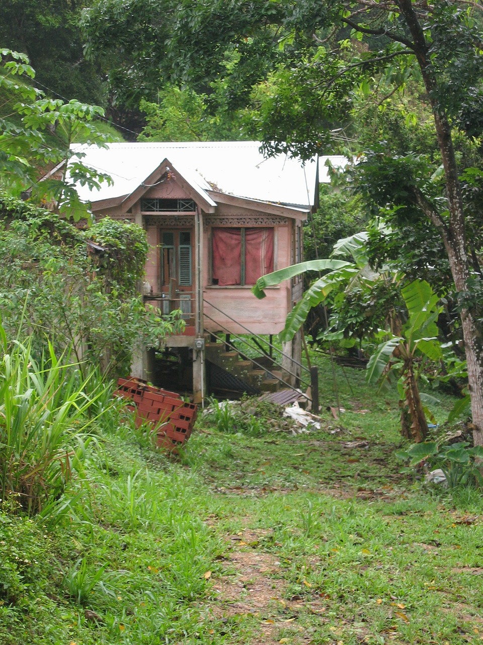 hut caribbean plantation free photo