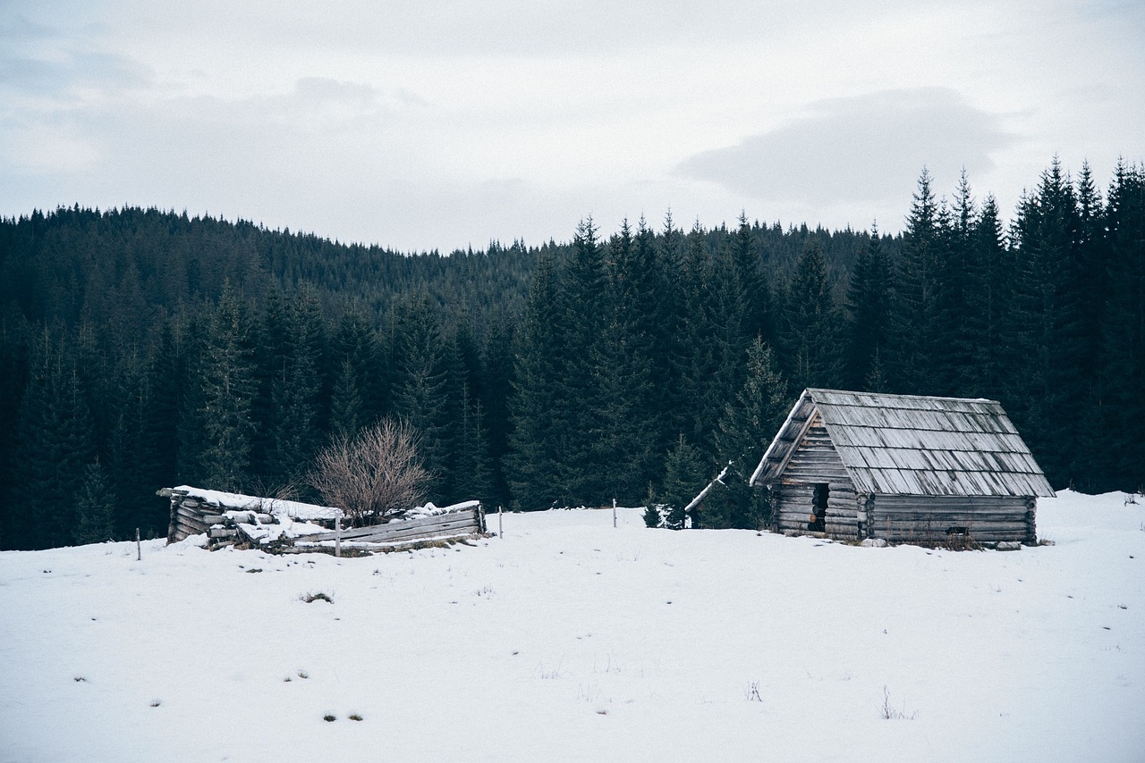 hut shed winter free photo